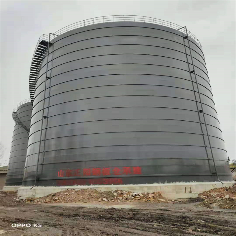 新竹镇3万吨大型钢板库